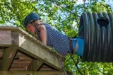 Test your skills at Tree Tops Trail high ropes adventure - Tenby, Pembrokeshire, South West Wales