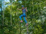 Aim high at Tree Tops Trail high ropes adventure - Tenby, Pembrokeshire, South West Wales