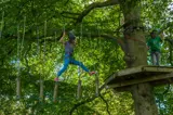 Get your balance on at Tree Tops Trail high ropes adventure - Tenby, Pembrokeshire, South West Wales