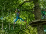 Get your balance on at Tree Tops Trail high ropes adventure - Tenby, Pembrokeshire, South West Wales