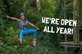 Tree Tops Trail high ropes adventure course is open all year - Tenby, Pembrokeshire, South West Wales